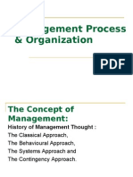 Management Process & Organization