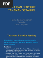 Download HAMA DAN PENYAKIT TANAMAN SETAHUN palawija01 by rahmaniaa SN16605101 doc pdf