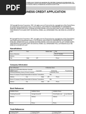 Business Credit Application