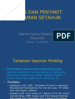 Hama Dan Penyakit Tanaman Setahun Sayuran01