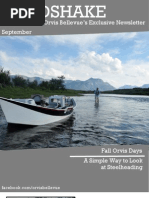 Download Headshake Orvis Bellevues Exclusive Newsletter by TheOrvisCompany SN166078926 doc pdf