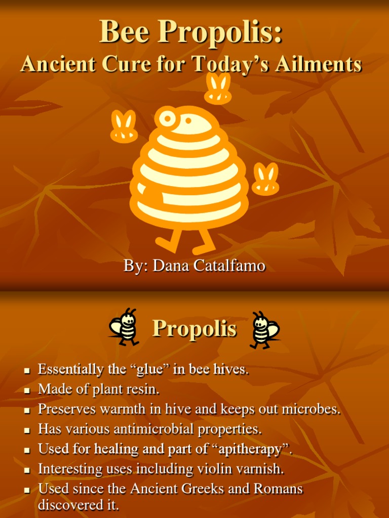Propolis: Ancient Healing Properties | PDF | Macrophage | Nf κb