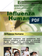 Influenza-Virus de La Gripe