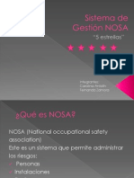 Sistema NOSA