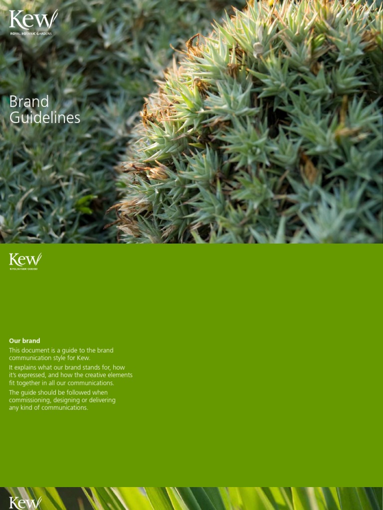 Kew Brand Guidelines | PDF
