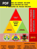 Guarda Mirim - Matriz Curricular