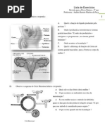 Revisão para Prova 8o ano