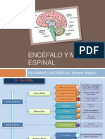 Encefalo y Medula Espinal