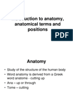 Introduction to anatomy terms and positions