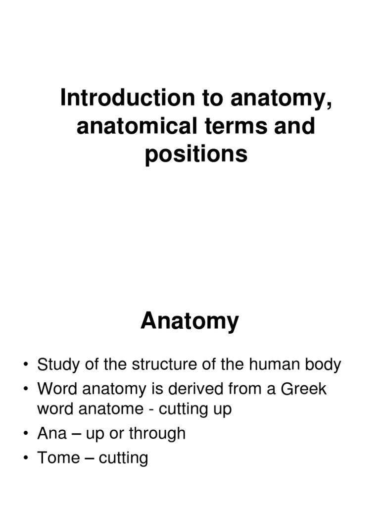 WHAT IS ANATOMY EASY DEFINITION visual data 4