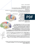 Neuroanatomy 07