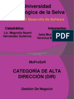 CATEGORÍA DE ALTA DIRECCIÓN (DIR) expo
