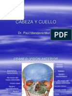 cabezaycuello-120913104510-phpapp01