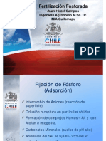 Fertilizacion Fosforada - pdf1 JUAN HIRZEL