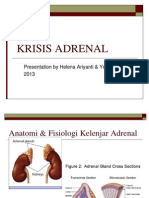 Krisis Adrenal Slide Print