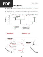 Phylogenetic Trees (BIOINFORMATICS)