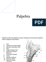 Copy of Palpebra-Cornea-Keratitis.ppt