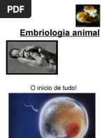 Embriologia Mt