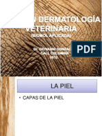 dermatologa-120520143701-phpapp02