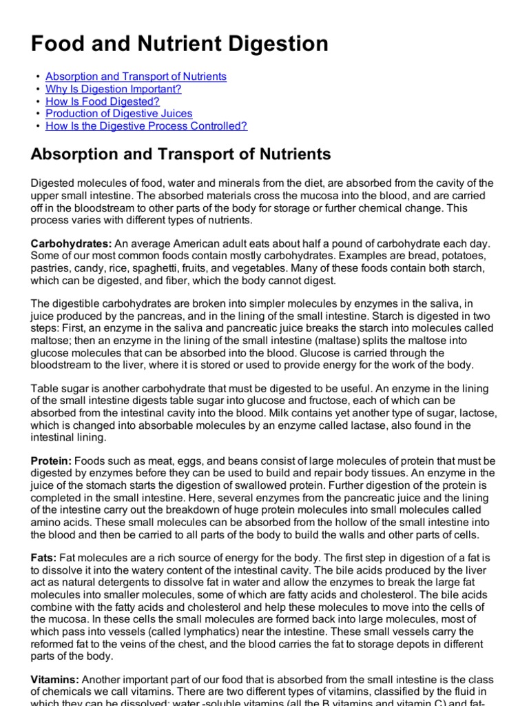 A Comprehensive Overview of the Digestive Process From Ingestion to Absorption of Nutrients