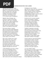 Os Lusíadas para gente nova