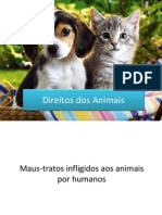 Direitos Dos Animais