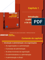 1.administracao e As Organizações - Capitulo01 - Felipe Sobral