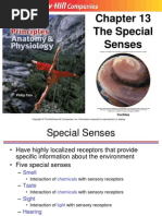 13 Special Senses