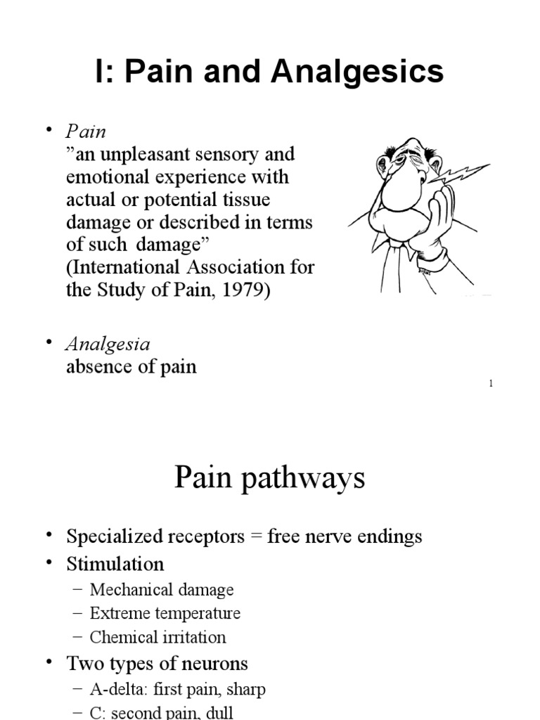 Analgesia | PDF | Analgesic | Pain