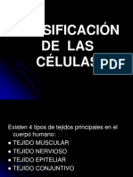 Clasificación De Las Células