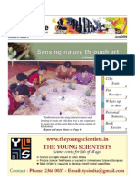 YOCee Newsletter June 2009