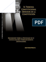 (Gtz) José Antonio Rivera — El Tribunal Constitucional Defensor de la Constitución