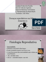 Seminário de Reprodução (final)