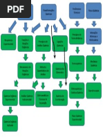 Fluxograma Bach. Química
