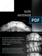expo-GUÍA ANTERIOR (Edit)