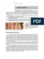 Receptores cutâneos e sensibilidade tátil