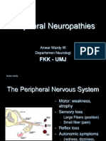 Periferal Neuropathy 06
