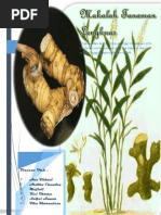 Download makalah tanaman lengkuas by Saiful Anwar SN166402813 doc pdf