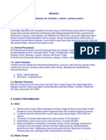 Brocoli PDF