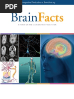 Brain Facts Book