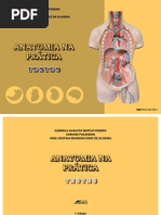Anatomia