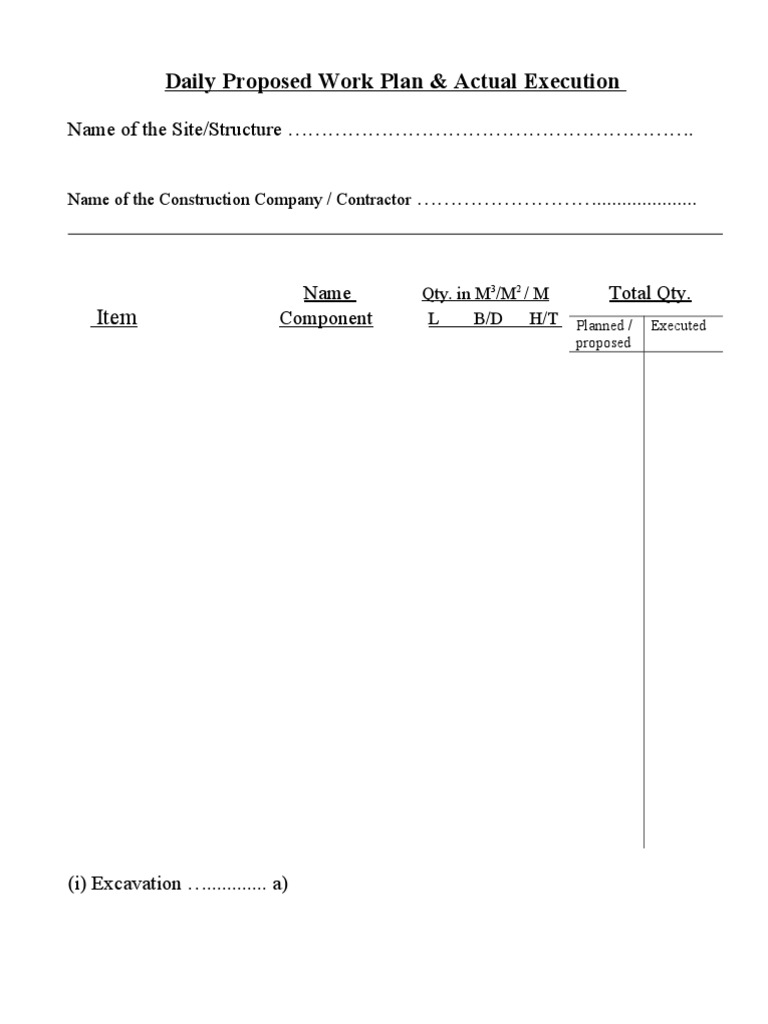 Daily Work Plan and Execution Report | PDF