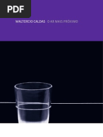 Waltercio Caldas _ O Ar Mais Proximo e Outras Materias