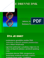 DNK Prezentacija