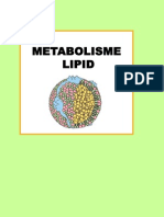Lipid Kesmas