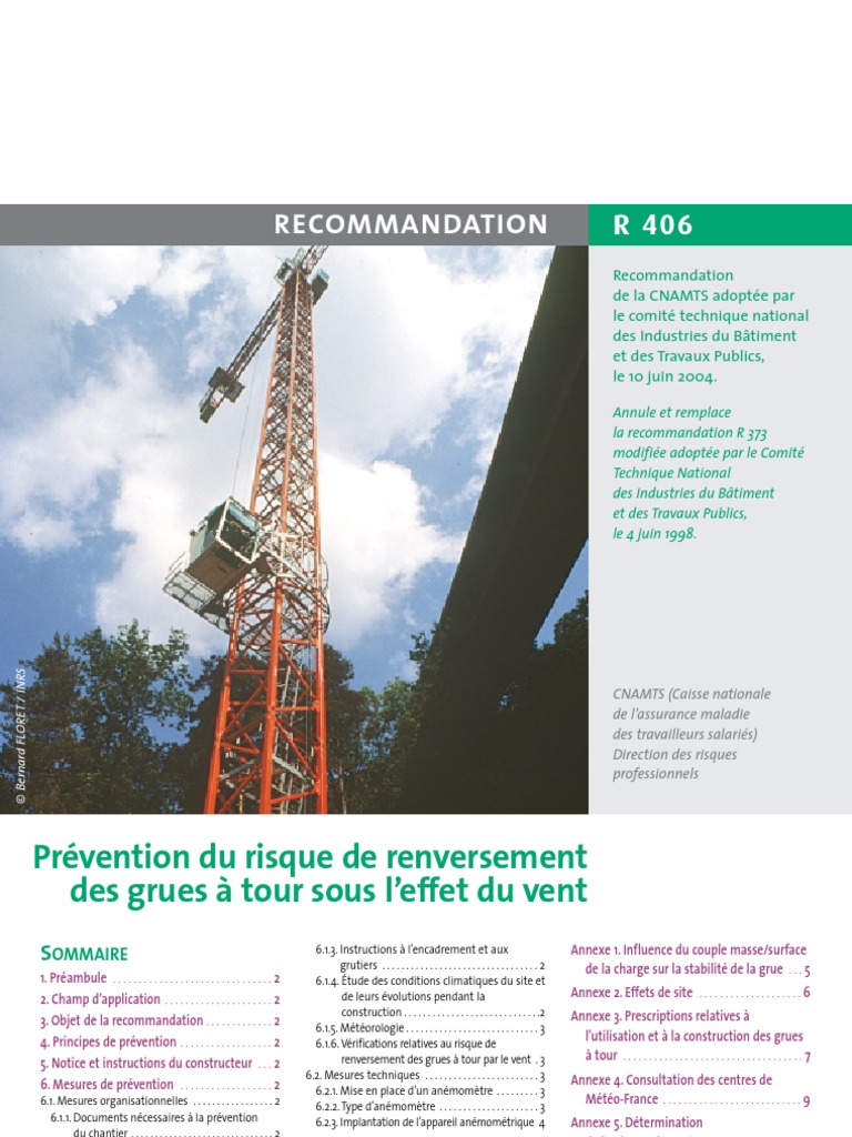 R406 Grue Et Vent Plaie Profil (aérodynamique)