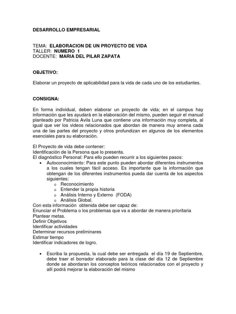 Taller Proyecto de Vida | PDF