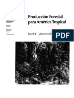 Wadsworth Produccion Forestal Para America Tropical
