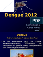Dengue 2012 Bani