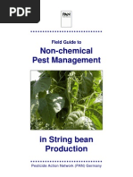 Download Field Guide to Non-chemical Pest Management in String Bean Production by cdwsg254 SN16647053 doc pdf